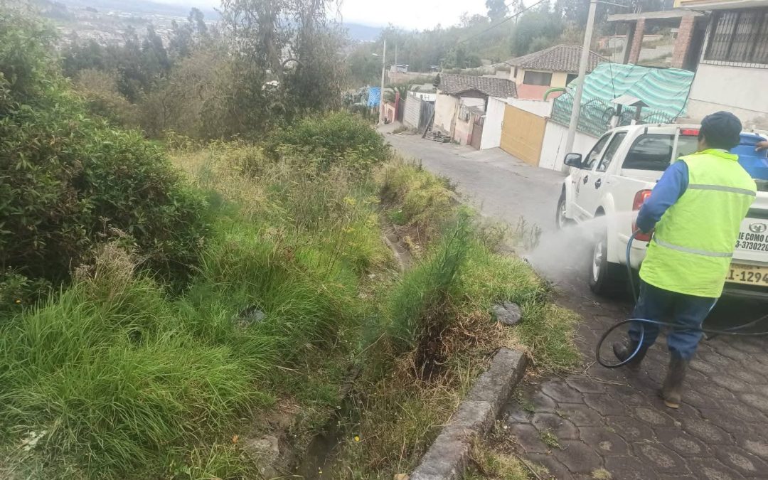 Fumigación de la Vía Pública