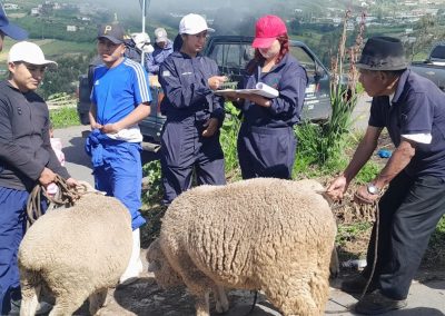 GAD Parroquial y MAG fortalecen la salud animal con jornadas de vitaminización y desparasitación